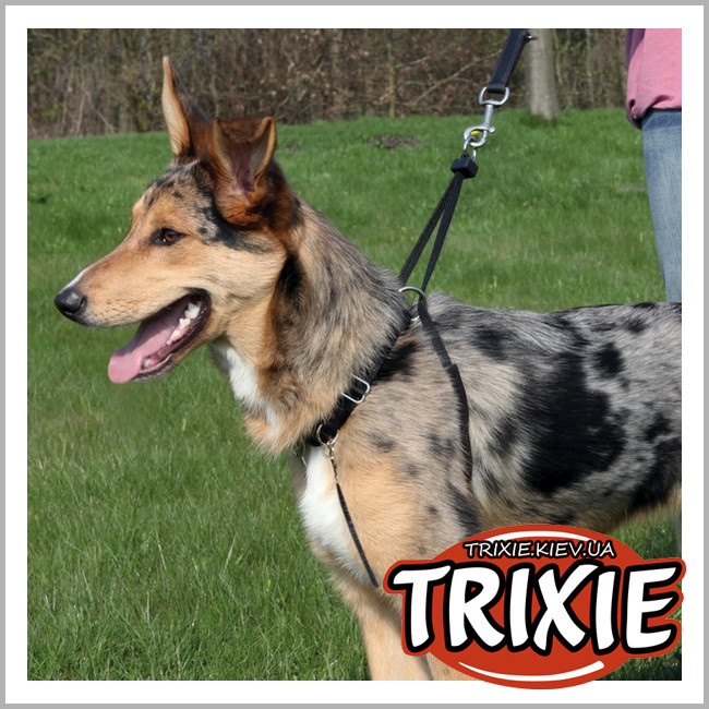 ТРІКСІ Україна - Навчальна шлейка для собак TRIXIE (Розмір: 30-42см/25мм)