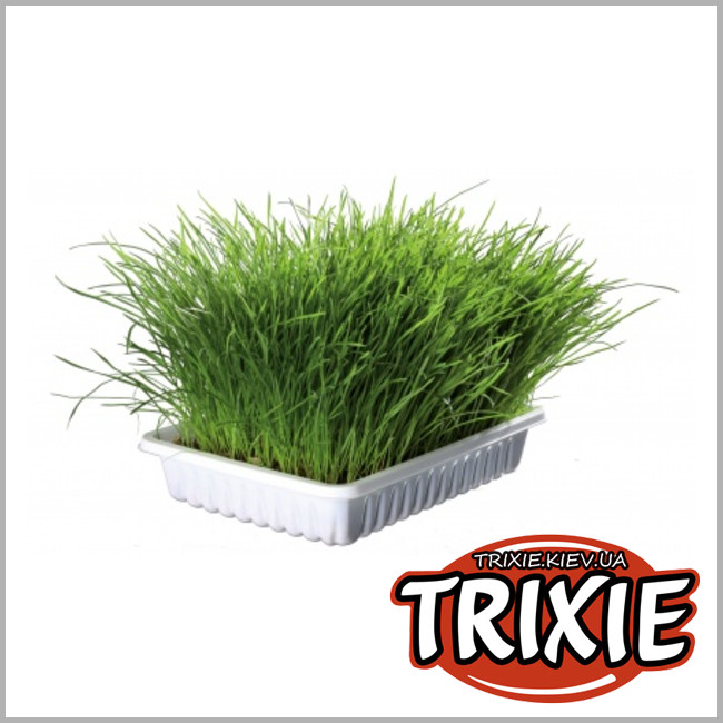 ТРИКСИ Украина - Трава для кошек в контейнере TRIXIE (в контейнере 100g)