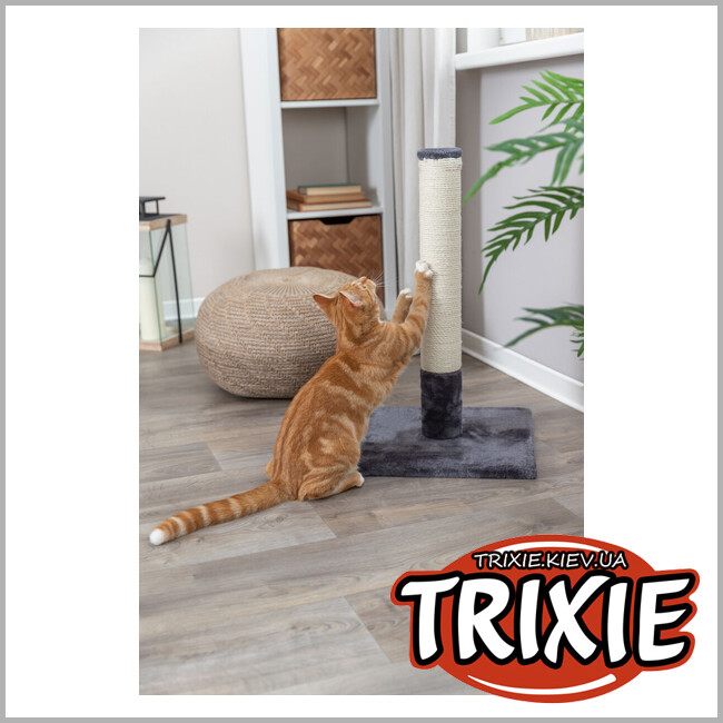 ТРІКСІ Україна - Trixie 43361 "Batres", драпак-стовпчик 62см, платиновий
