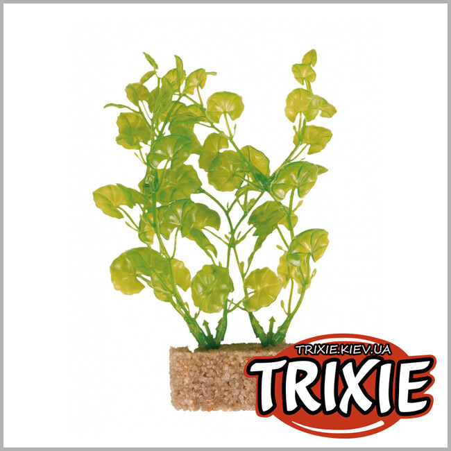 ТРІКСІ Україна - Рослина для акваріума TRIXIE - Набір, основа з піску (Розмір: 12см)