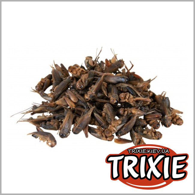 ТРИКСИ Украина - Сушеные сверчки для рептилий TRIXIE (250ml / 25g)