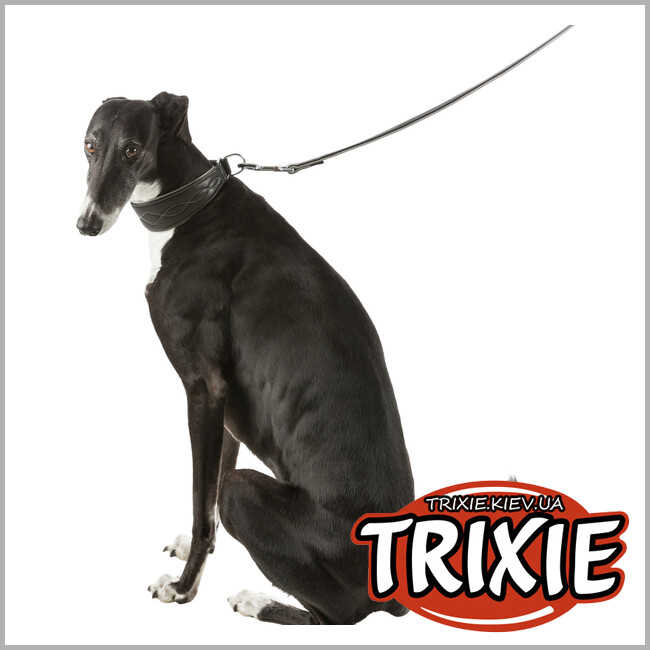 ТРИКСИ Украина - Ошейник Active Comfort-TRIXIE (кожа, S: 27–35см/55см. черный/серый)