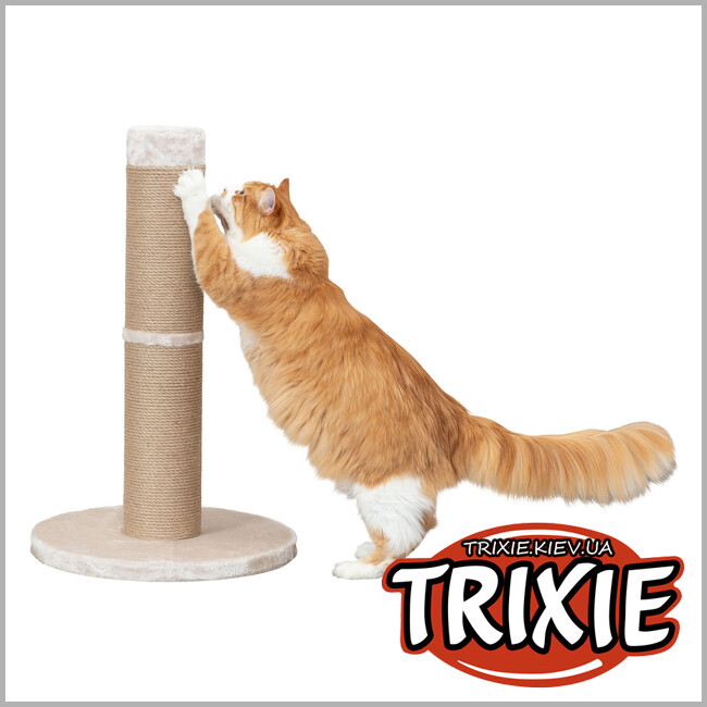 ТРІКСІ Україна - Драпак-стовпчик для котів Trixie 43337 "Rue" XXL, 80см, беж