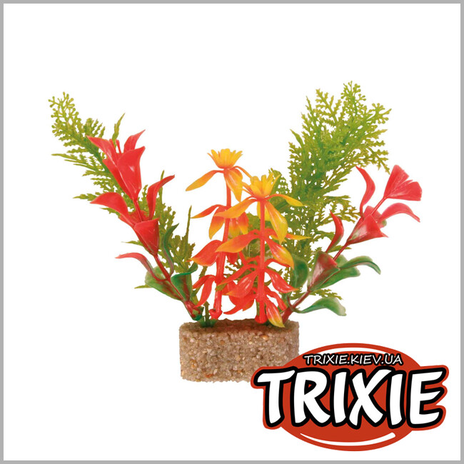 ТРІКСІ Україна - Рослина для акваріума TRIXIE - Набір, основа з піску (Розмір: 12см)