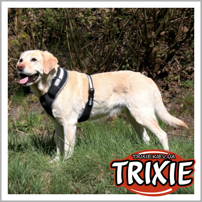 ТРІКСІ Україна - Світловідбивна USB шлейка для собак TRIXIE (Розмір: 45-60см, чорний, нейлон)