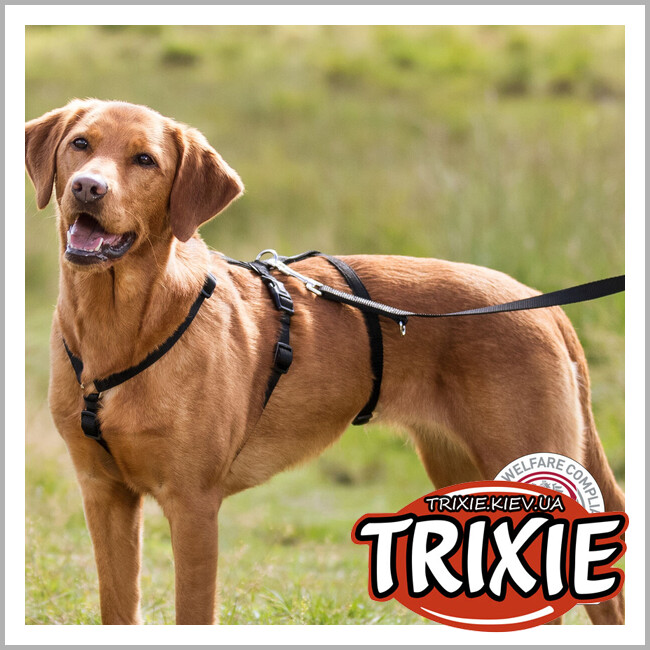 ТРИКСИ Украина - Шлей Trixie 13092 для собак S-M 40-65 см х 15 мм  черный