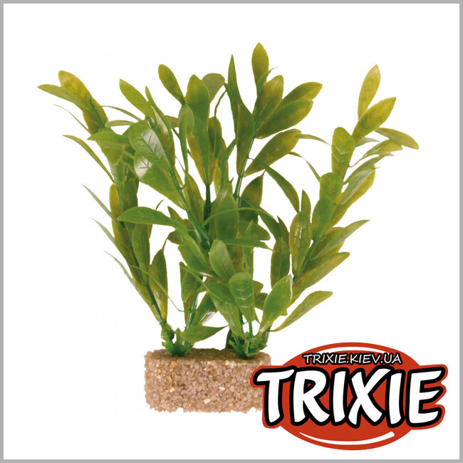 ТРІКСІ Україна - Рослина для акваріума TRIXIE - Набір, основа з піску (Розмір: 12см)